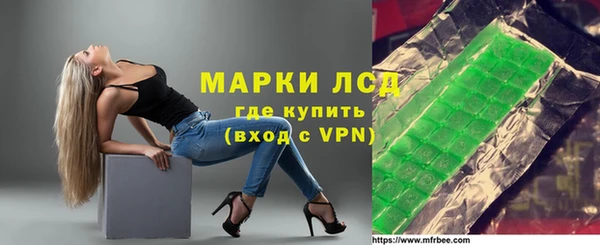 хмурый Арсеньев