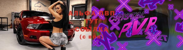 хмурый Арсеньев