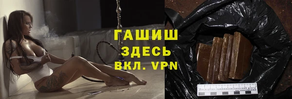 хмурый Арсеньев
