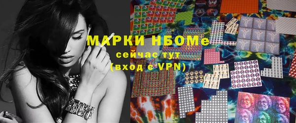 PSILOCYBIN Алзамай